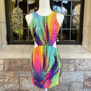 Naven rainbow cut out dress